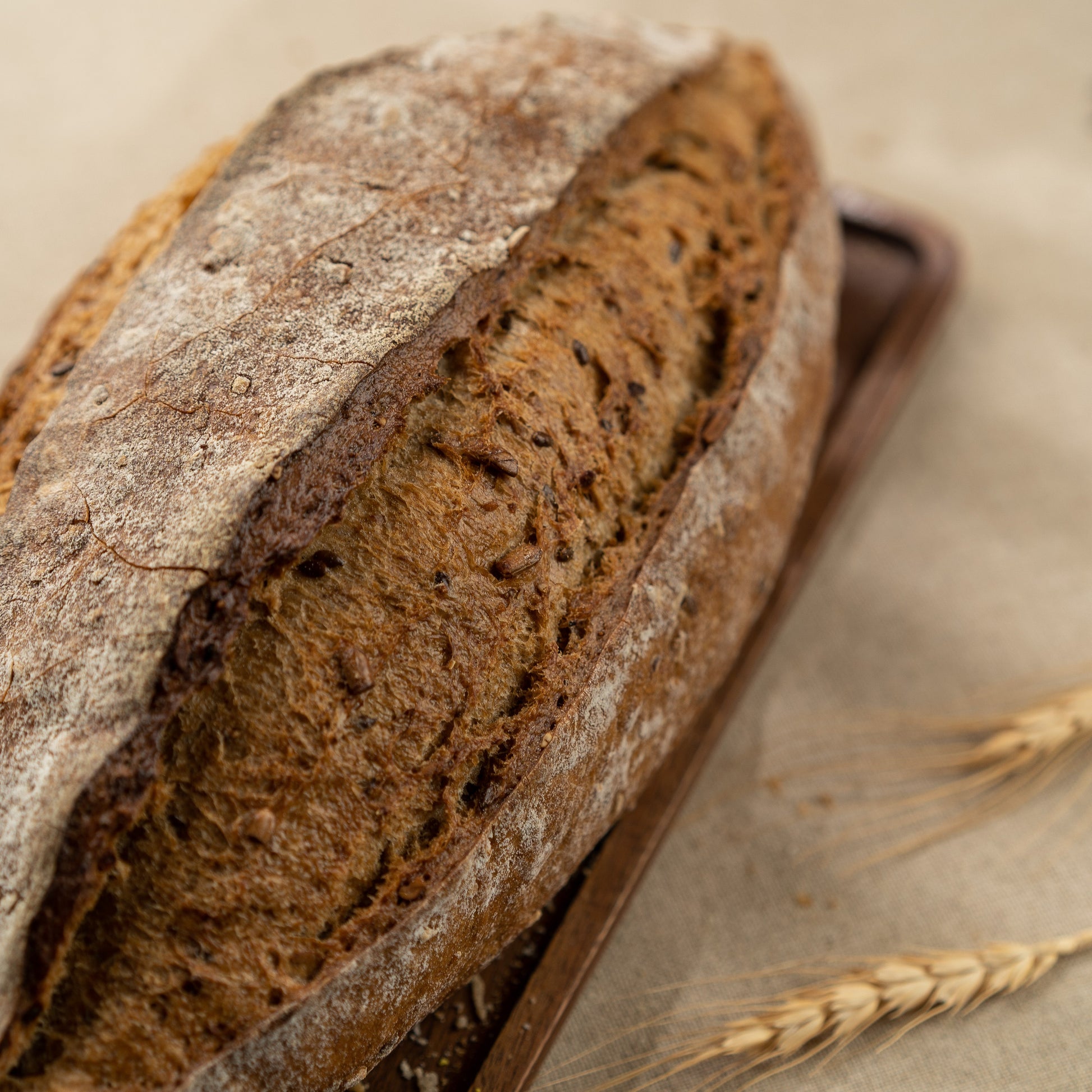Multigrain bread with a rustic crust on a textured surface